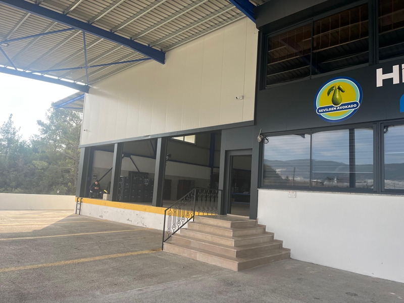sevilgen-avokado-DEPO-03